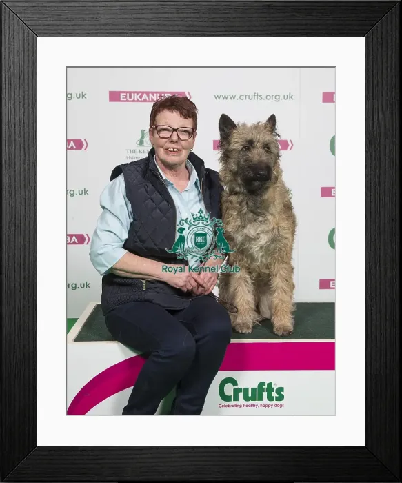 Framed Print : Crufts 2018 Framed Print : Crufts 2018