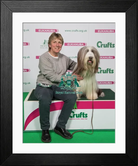 Framed Print : Crufts 2018 Framed Print : Crufts 2018