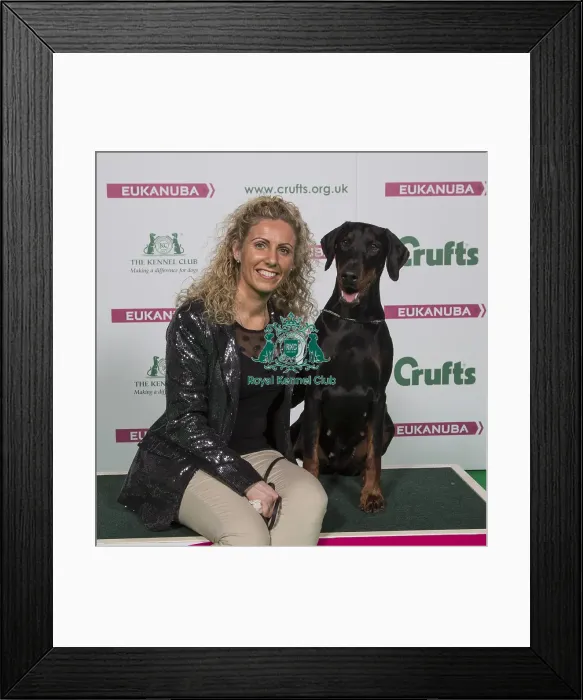 Framed Print : Crufts 2018 Framed Print : Crufts 2018