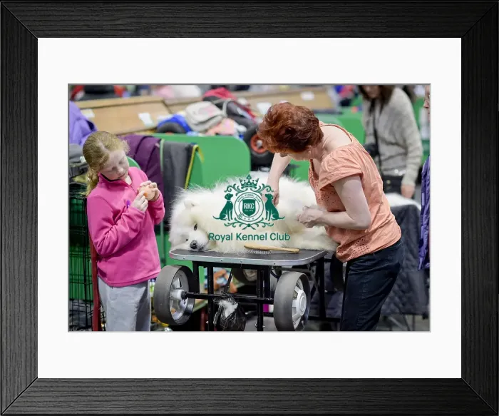 Framed Print : Crufts 2018