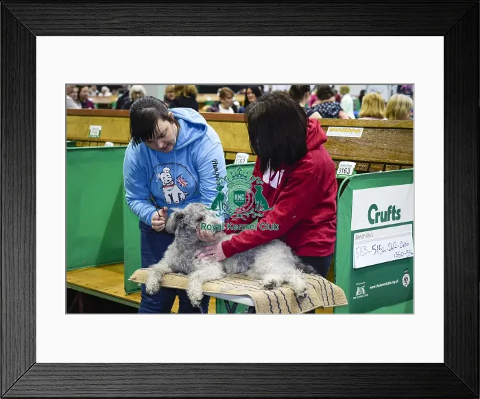 Framed Print : Crufts 2018