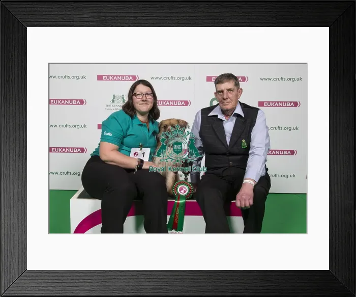 Framed Print : Crufts 2018