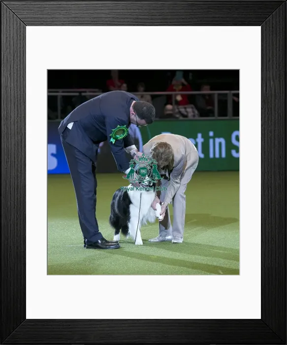 Framed Print : Crufts 2018 Framed Print : Crufts 2018