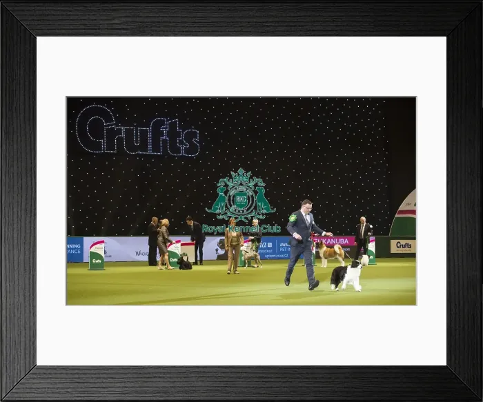 Framed Print : Crufts 2018