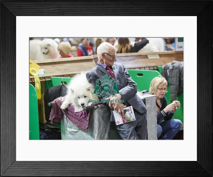 Framed Print : Crufts 2018