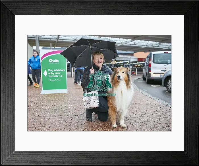 Framed Print : Crufts 2018 Framed Print : Crufts 2018