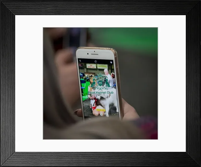 Framed Print : Crufts 2018 Framed Print : Crufts 2018