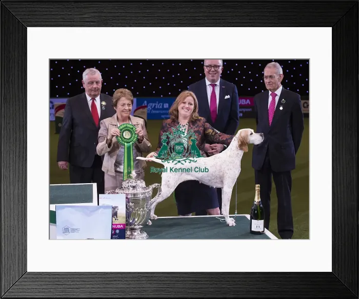 Framed Print : Crufts 2018