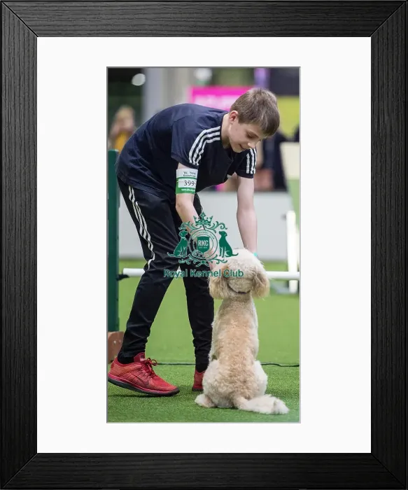 Framed Print : Crufts 2018 Framed Print : Crufts 2018