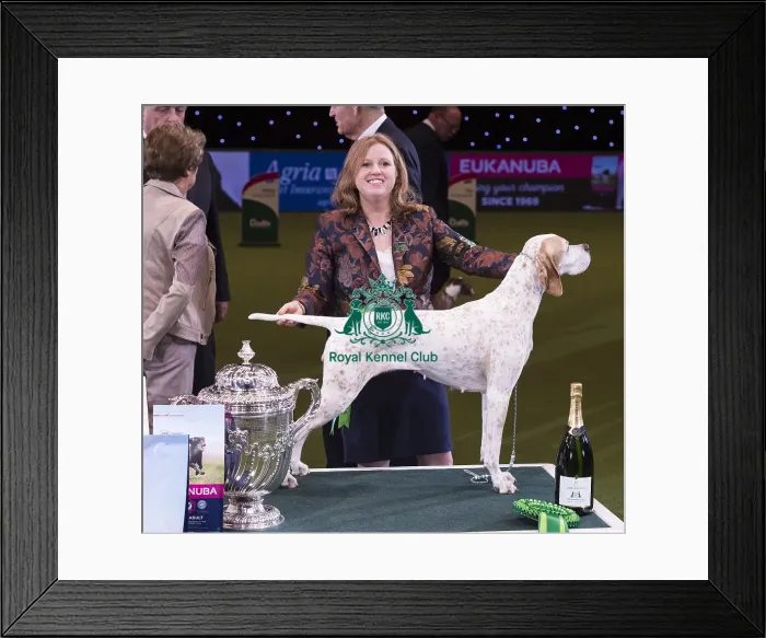 Framed Print : Crufts 2018 Framed Print : Crufts 2018