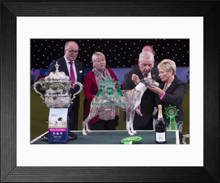 Framed Print : Crufts 2018