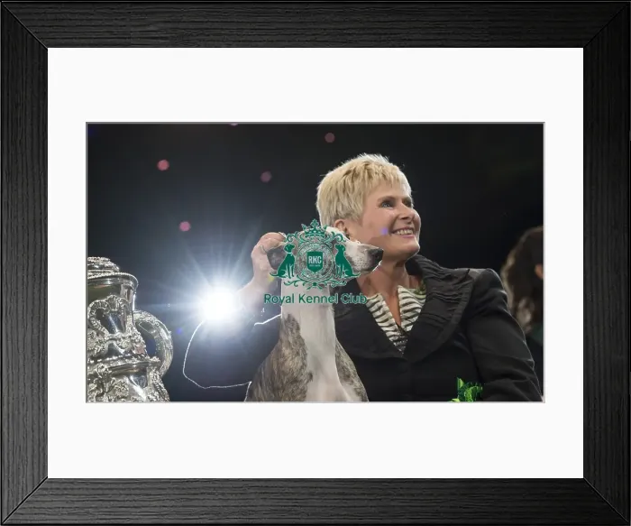 Framed Print : Crufts 2018 Framed Print : Crufts 2018