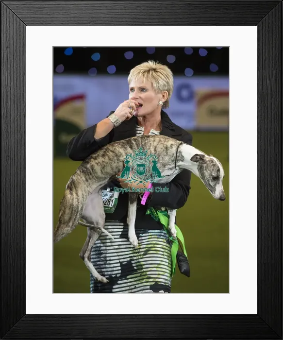 Framed Print : Crufts 2018 Framed Print : Crufts 2018