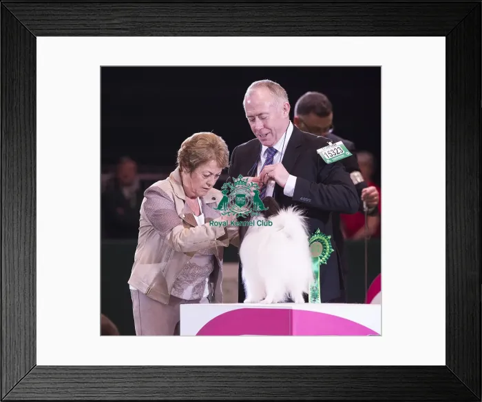 Framed Print : Crufts 2018 Framed Print : Crufts 2018