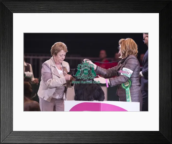 Framed Print : Crufts 2018 Framed Print : Crufts 2018