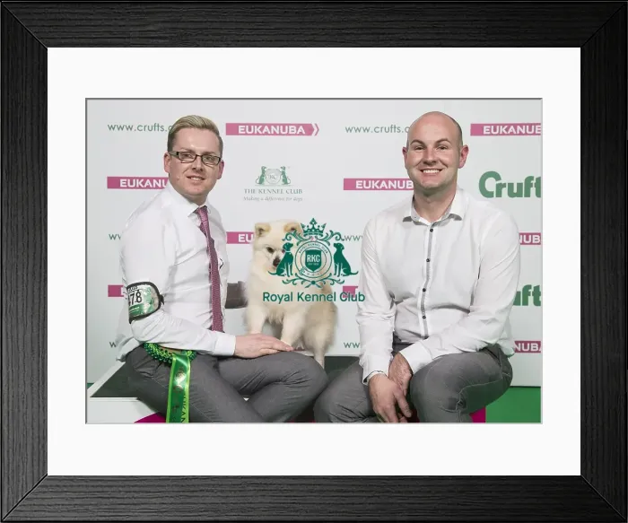 Framed Print : Crufts 2018 Framed Print : Crufts 2018