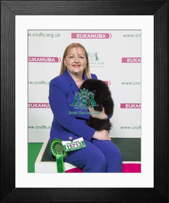 Framed Print : Crufts 2018 Framed Print : Crufts 2018