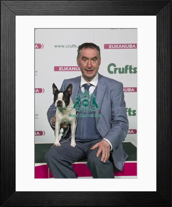 Framed Print : Crufts 2018 Framed Print : Crufts 2018