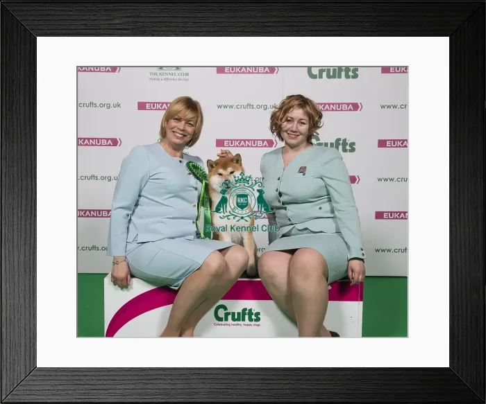 Framed Print : Crufts 2018 Framed Print : Crufts 2018