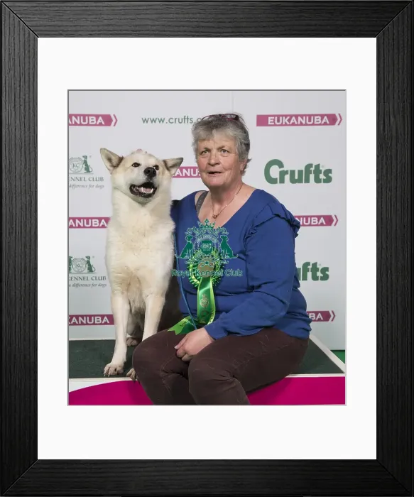 Framed Print : Crufts 2018 Framed Print : Crufts 2018