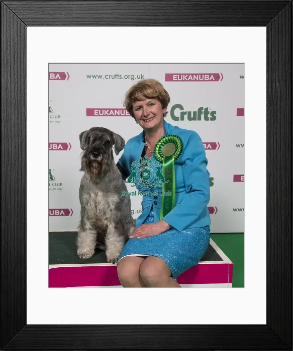 Framed Print : Crufts 2018 Framed Print : Crufts 2018