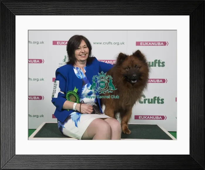 Framed Print : Crufts 2018 Framed Print : Crufts 2018