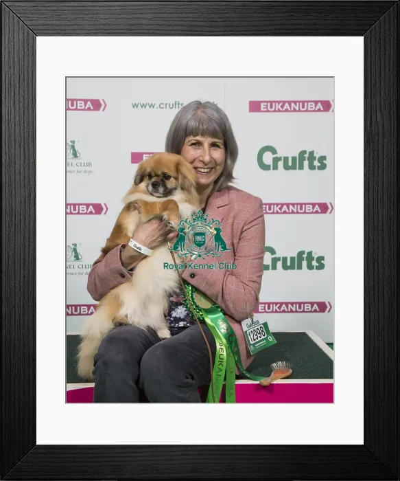 Framed Print : Crufts 2018 Framed Print : Crufts 2018