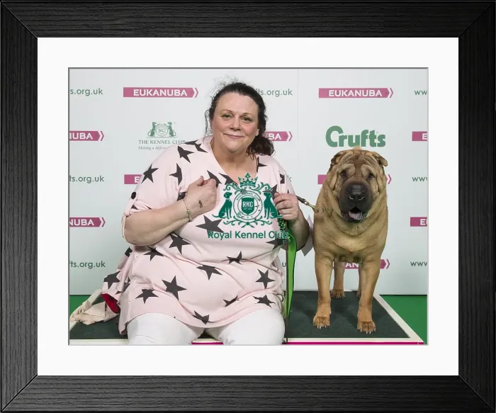 Framed Print : Crufts 2018 Framed Print : Crufts 2018