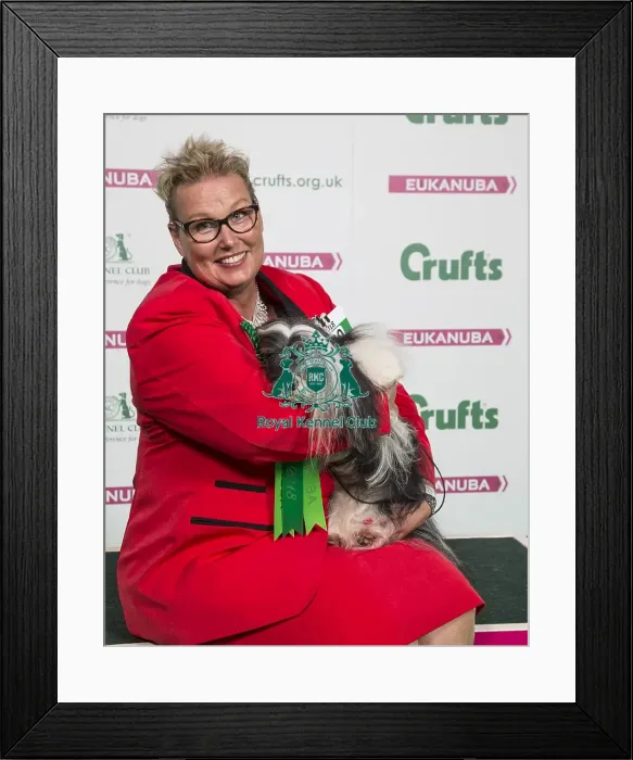 Framed Print : Crufts 2018 Framed Print : Crufts 2018