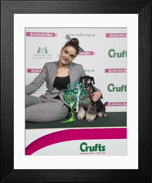 Framed Print : Crufts 2018 Framed Print : Crufts 2018