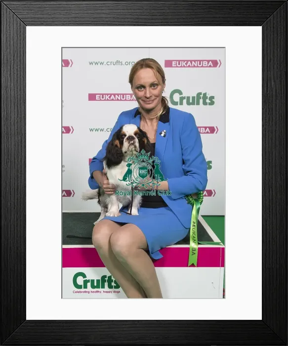 Framed Print : Crufts 2018 Framed Print : Crufts 2018