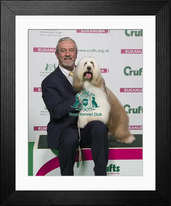 Framed Print : Crufts 2018 Framed Print : Crufts 2018