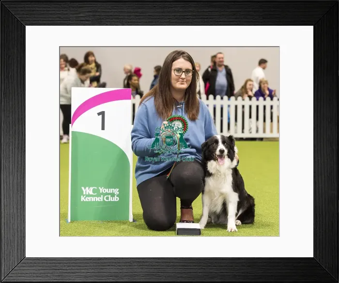 Framed Print : Crufts 2018 Framed Print : Crufts 2018