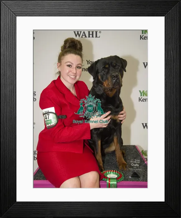 Framed Print : Crufts 2018 Framed Print : Crufts 2018
