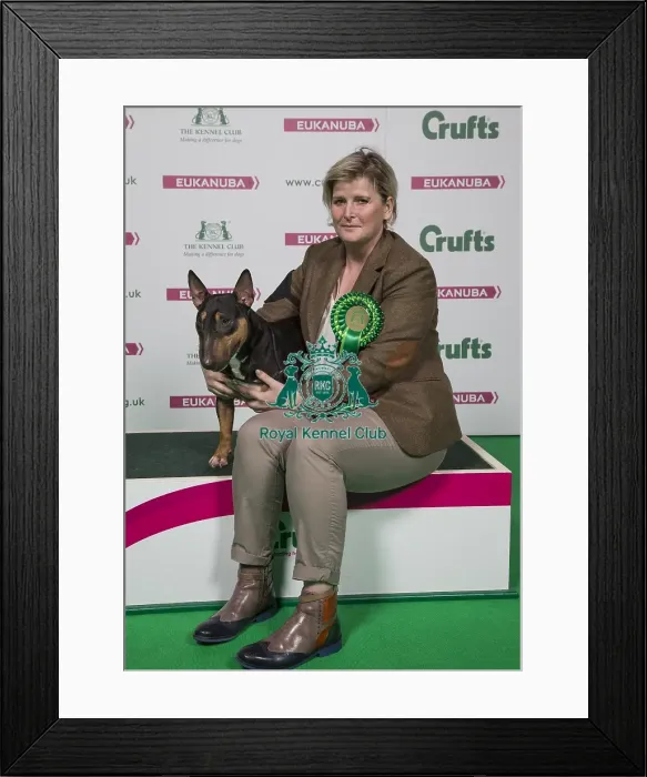 Framed Print : Crufts 2018 Framed Print : Crufts 2018