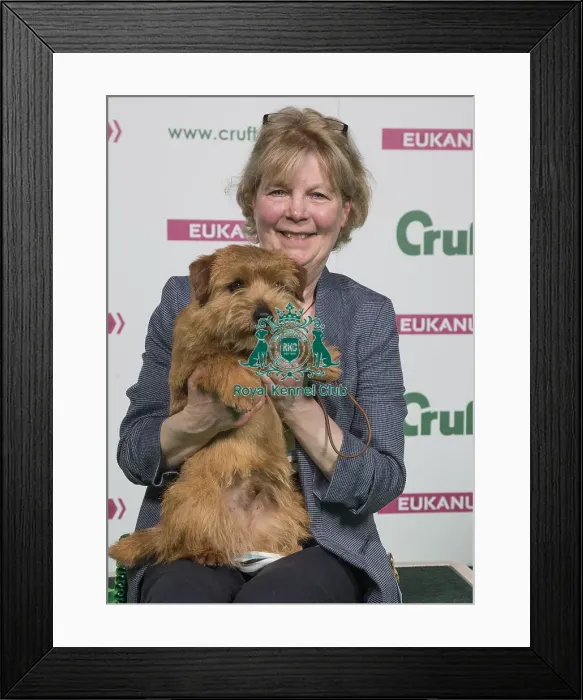 Framed Print : Crufts 2018 Framed Print : Crufts 2018