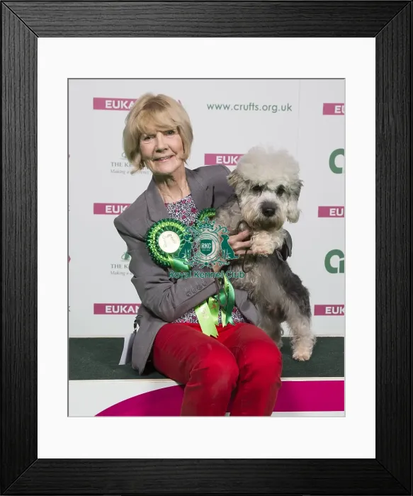 Framed Print : Crufts 2018 Framed Print : Crufts 2018