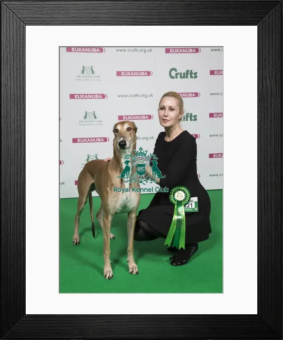 Framed Print : Crufts 2018 Framed Print : Crufts 2018
