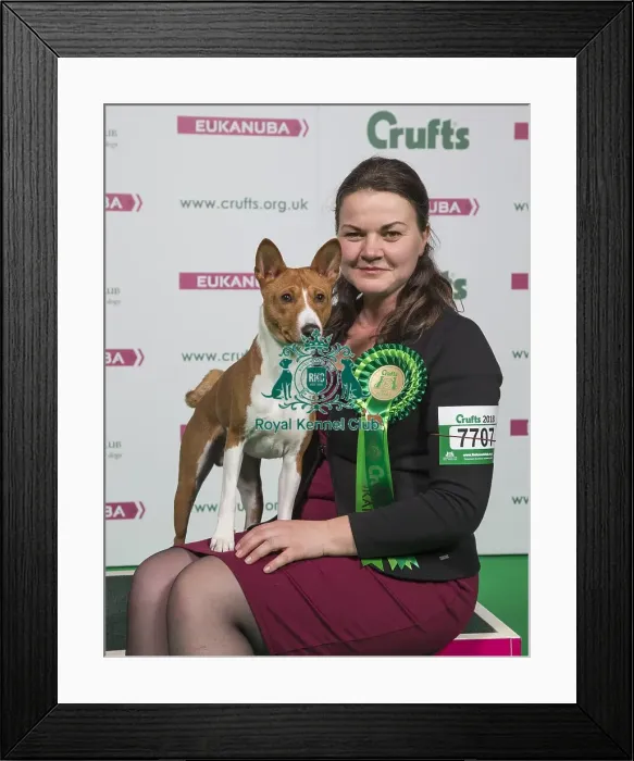 Framed Print : Crufts 2018 Framed Print : Crufts 2018
