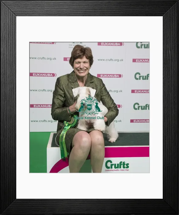 Framed Print : Crufts 2018 Framed Print : Crufts 2018