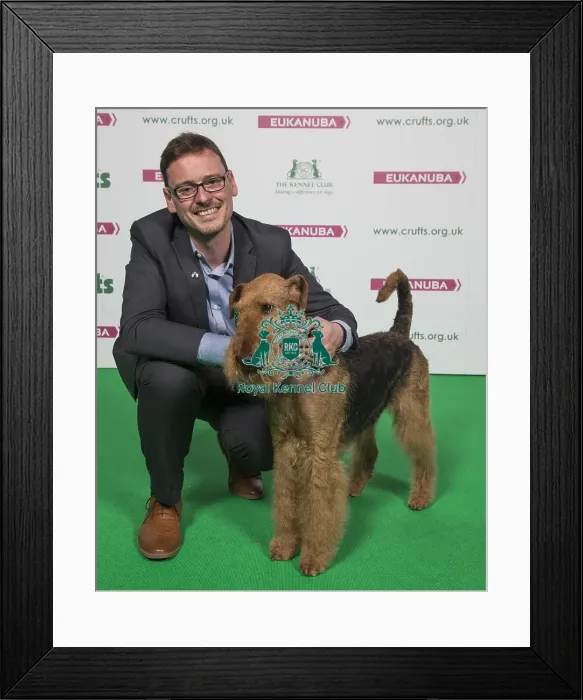 Framed Print : Crufts 2018 Framed Print : Crufts 2018