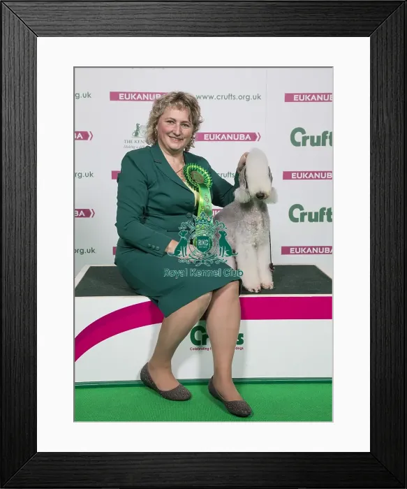 Framed Print : Crufts 2018 Framed Print : Crufts 2018