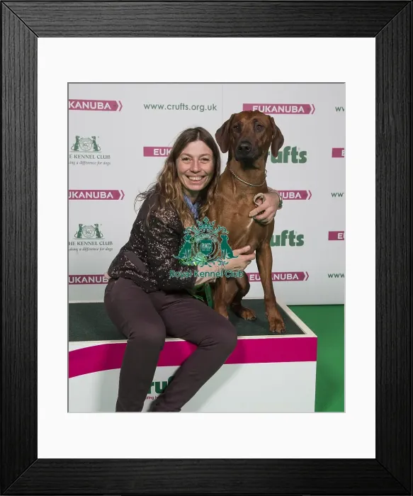 Framed Print : Crufts 2018 Framed Print : Crufts 2018
