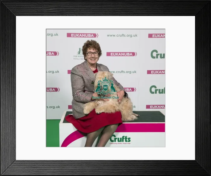 Framed Print : Crufts 2018 Framed Print : Crufts 2018