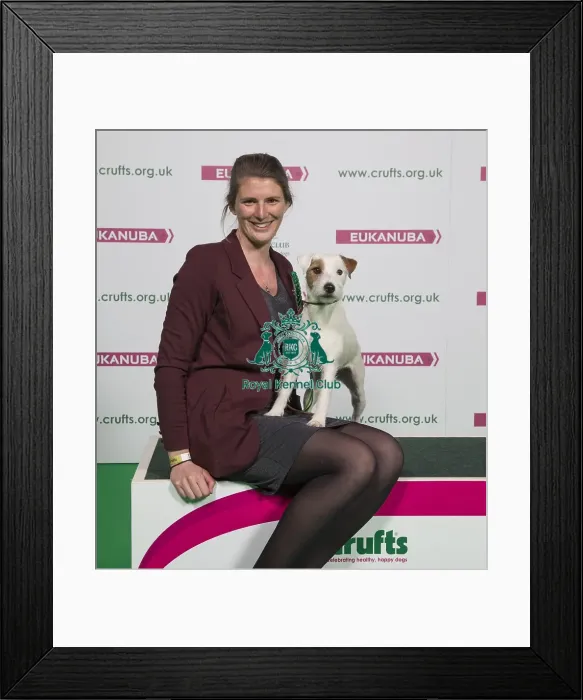 Framed Print : Crufts 2018 Framed Print : Crufts 2018