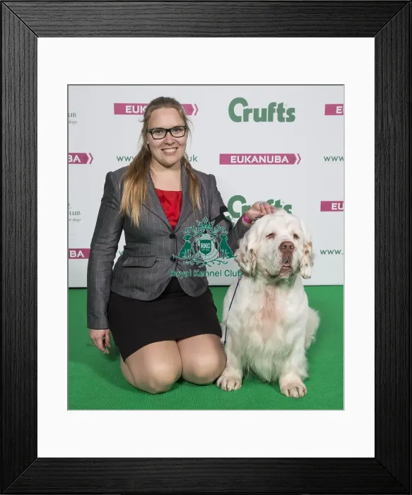 Framed Print : Crufts 2018 Framed Print : Crufts 2018