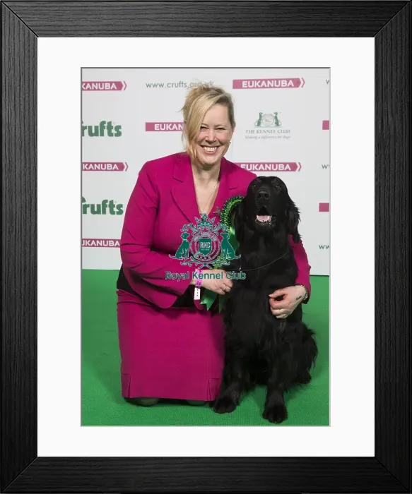 Framed Print : Crufts 2018 Framed Print : Crufts 2018