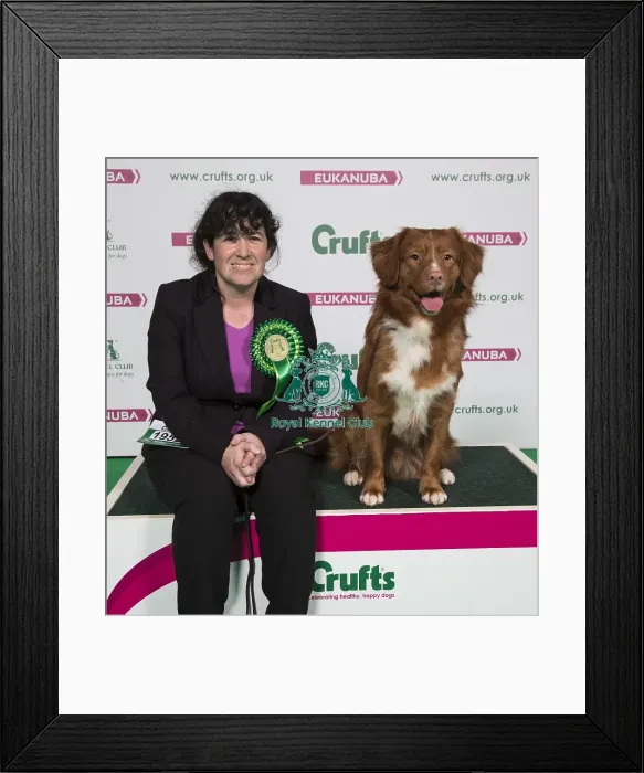 Framed Print : Crufts 2018 Framed Print : Crufts 2018
