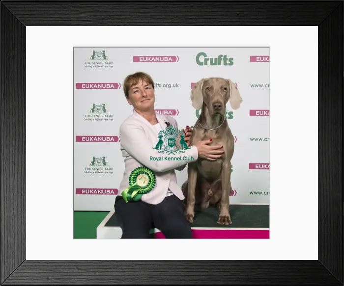 Framed Print : Crufts 2018 Framed Print : Crufts 2018