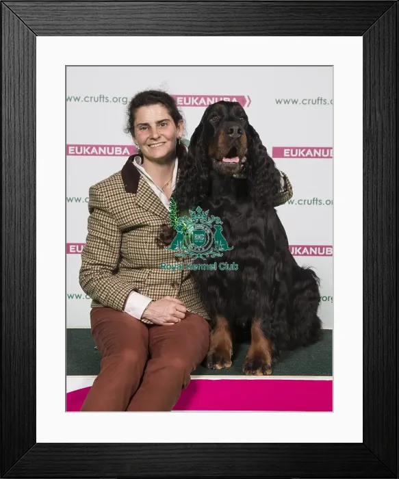 Framed Print : Crufts 2018 Framed Print : Crufts 2018